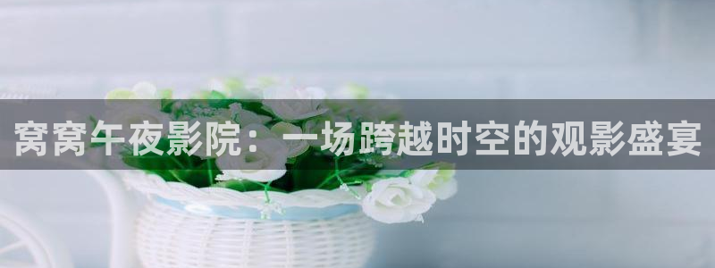 樱花视频mv