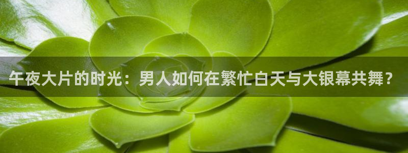 樱花视频免费观看电影app
