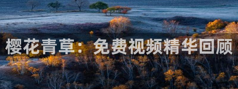 星空传媒影院免费电视剧