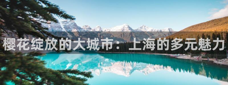 星空影视网下载app