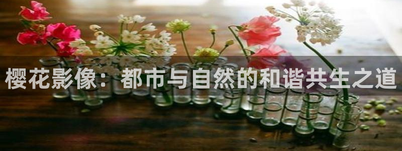 星空免费观看