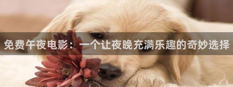 星空影视破解版下载
