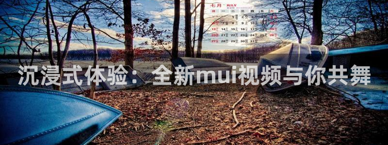 星空影视免费电影