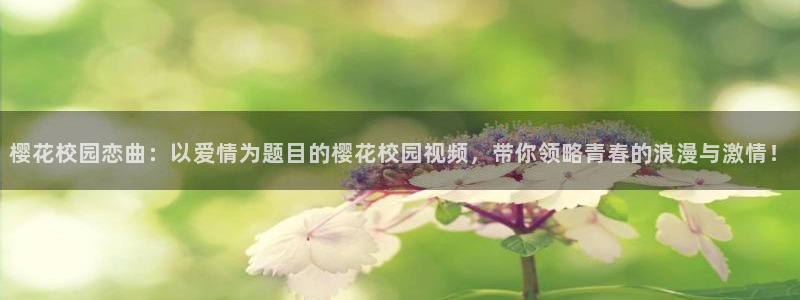 星空无限传媒免费观看高清