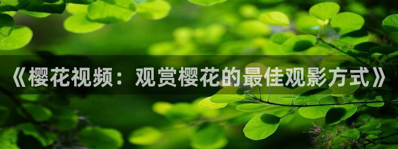 临沧樱花视频
