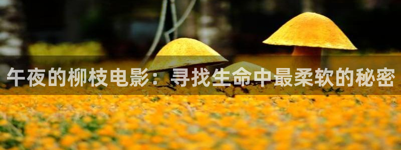 星空电影在线观看完整版