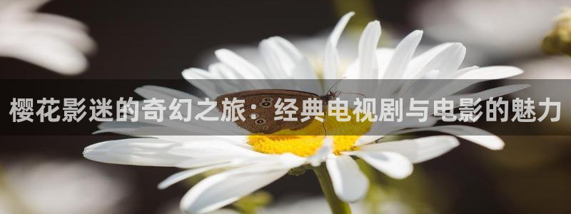 樱花视频电视剧在线看入口免费