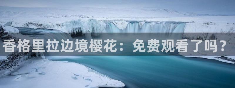 《雁回时》樱花视频