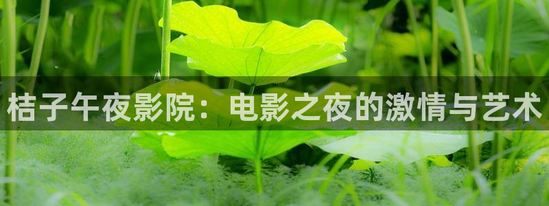 樱花视频电视剧