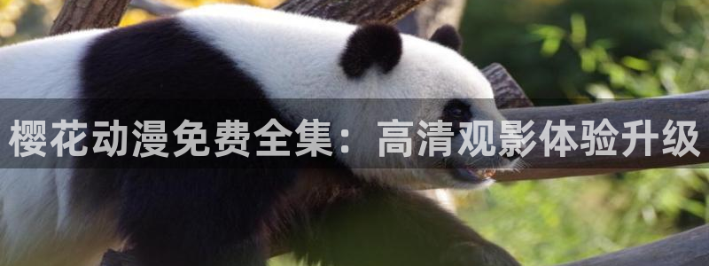 微微一笑很倾城免费观看樱花视频