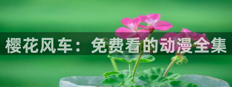 星空免费电影