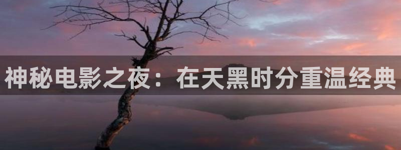 山河令樱花视频