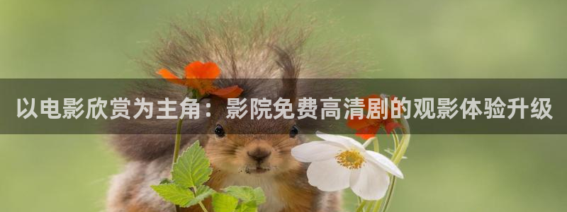 樱花视频免费观看电视剧高清版
